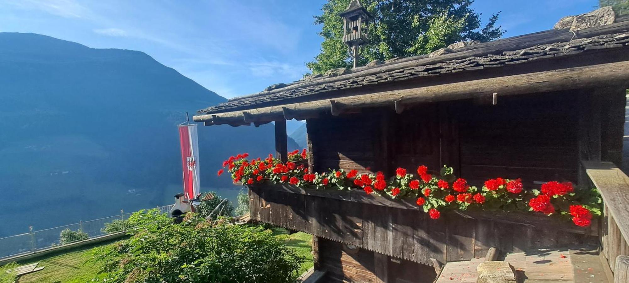 Grossstahlhof Mountain & Panorama View Apartment Ahrntal ภายนอก รูปภาพ