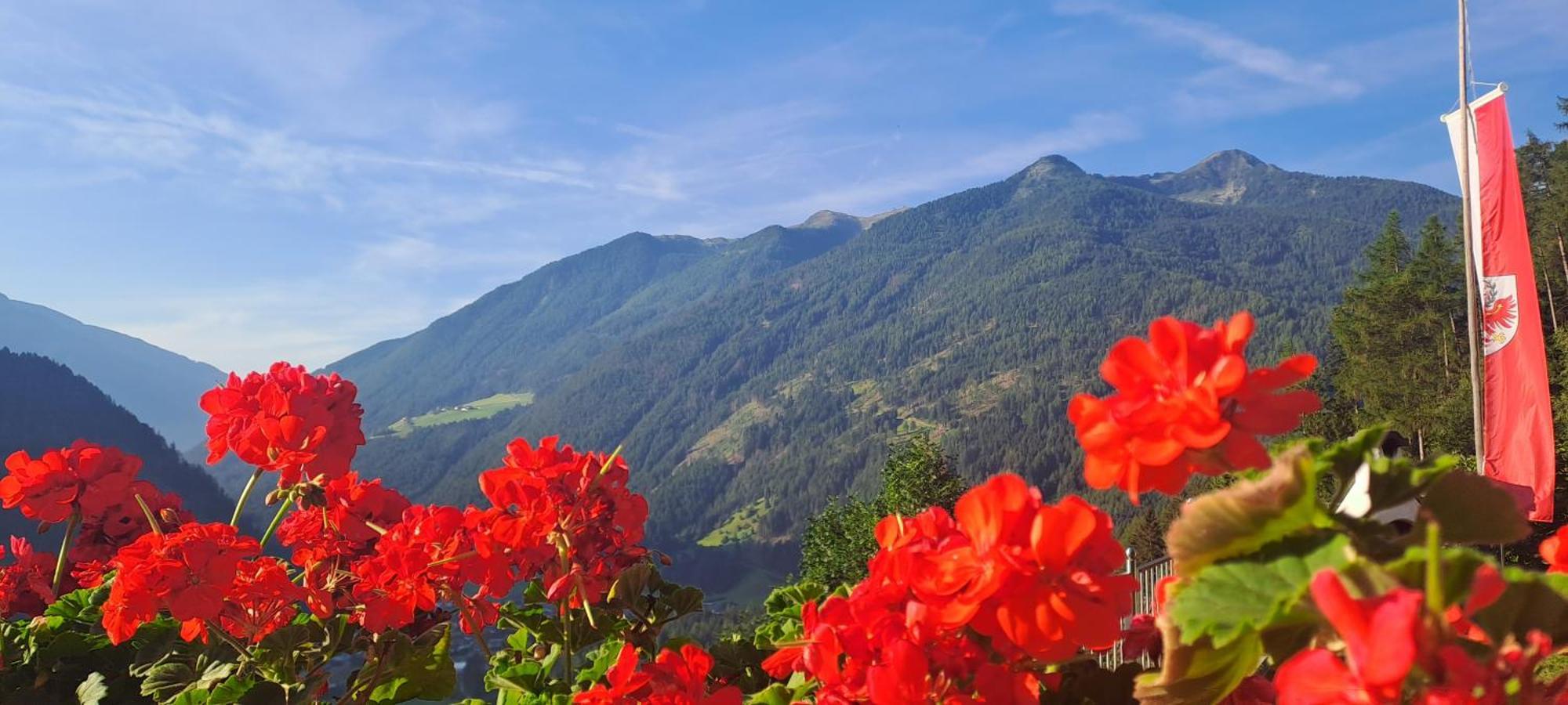 Grossstahlhof Mountain & Panorama View Apartment Ahrntal ภายนอก รูปภาพ